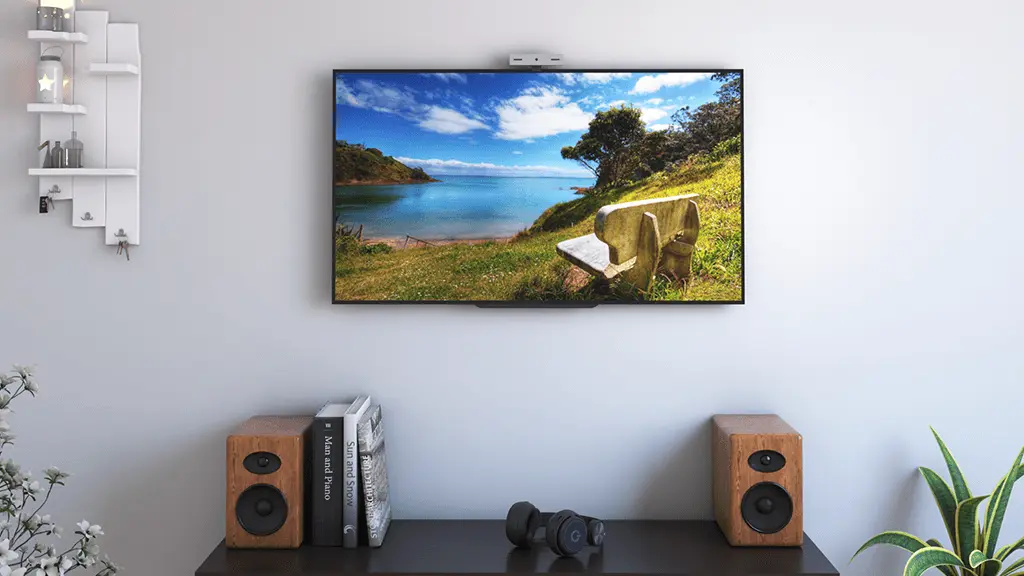 TV